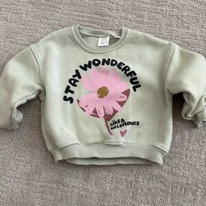 Zara Toddler Sweatshirt
